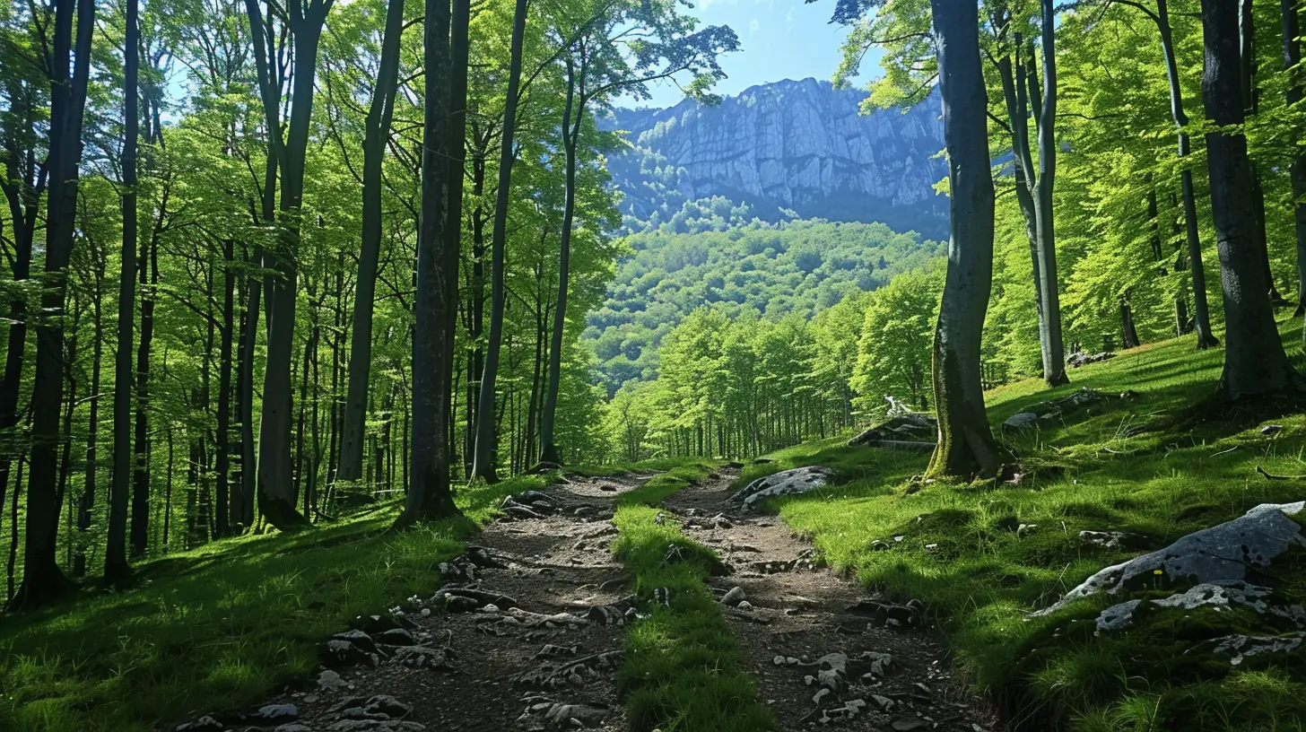 Exploring Nature: After-School Hikes and Nature Walks