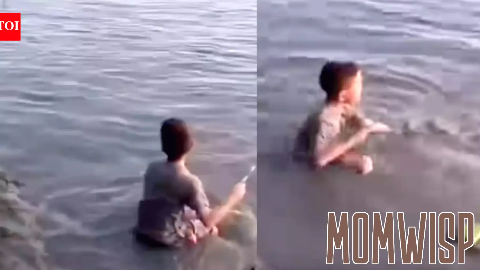 A Boy’s Unusual Pond Visit Turns Into a Jaw-Dropping Surprise