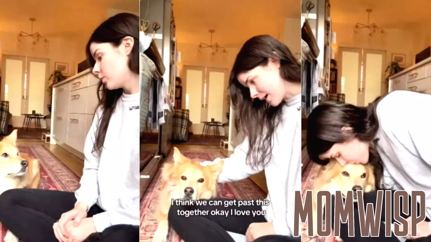 Adorable Video Captures Owner's Gentle Parenting Lesson with Dog
