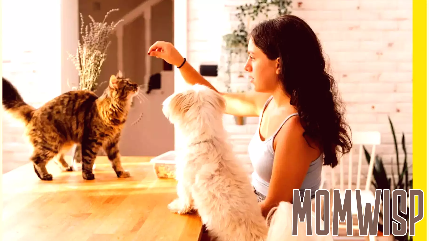 Exploring the Cat vs. Dog Parenting Style
