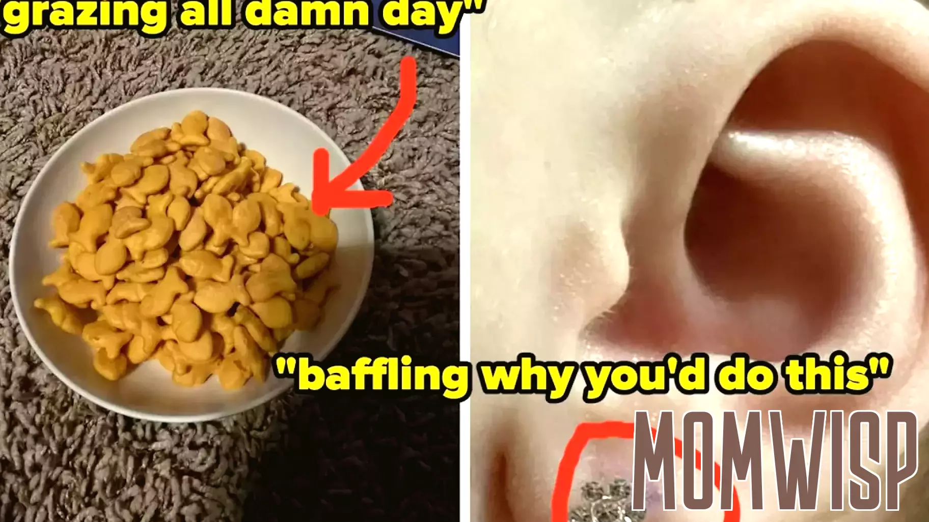 Frustrated Parents Expose The Parenting Trends They Say Are Pure BS