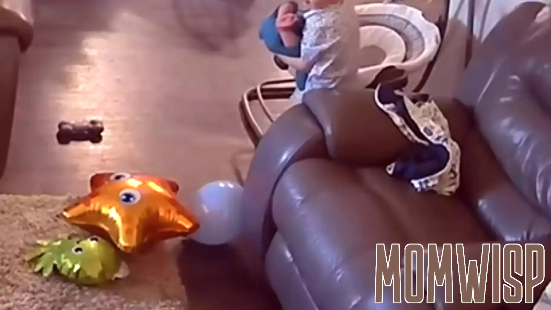 Shocking Footage Reveals Disturbing Incident Involving Newborn and Older Sibling