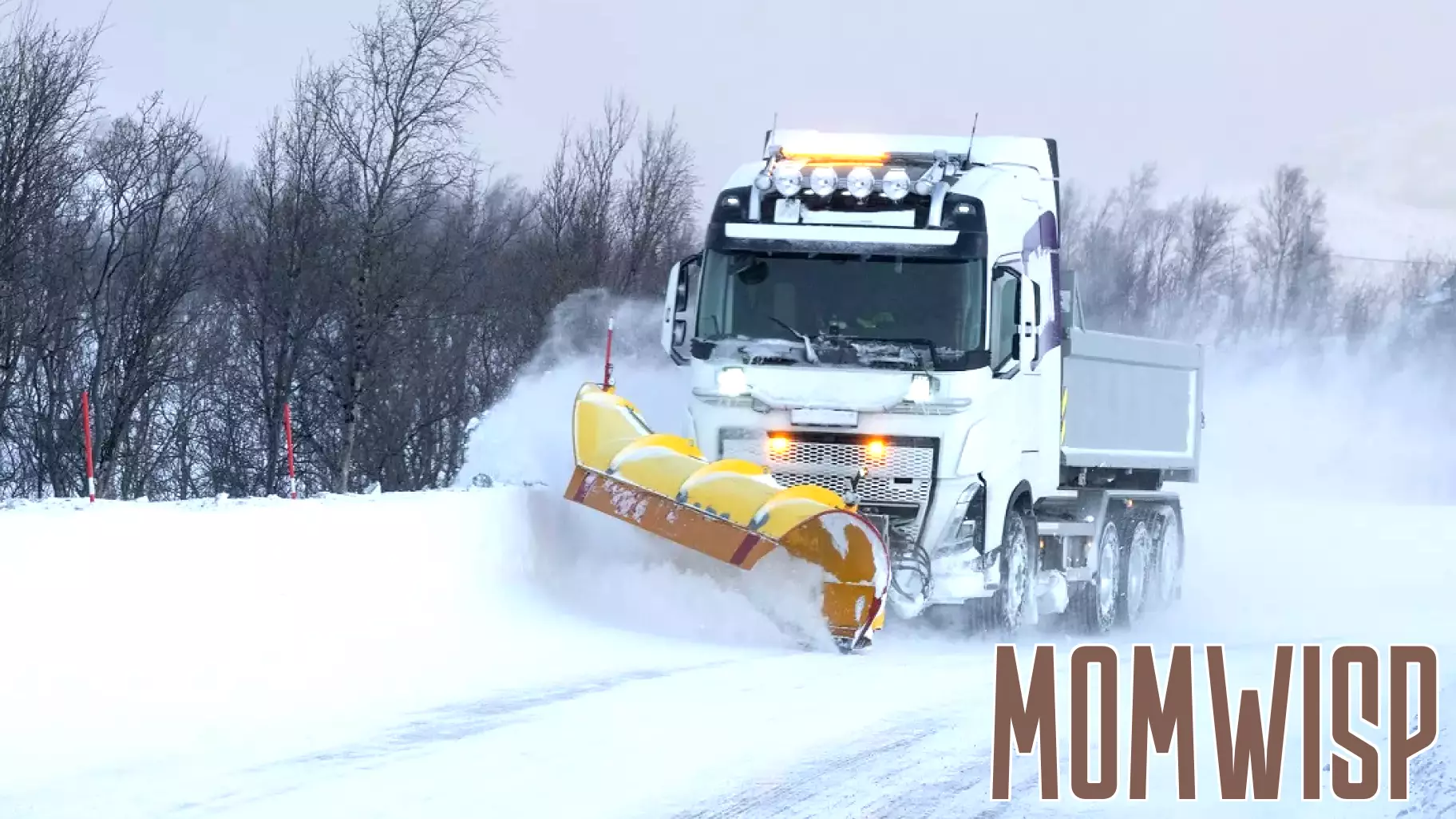 Snowplow Parenting: Clearing the Path for Kids, but at What Cost?
