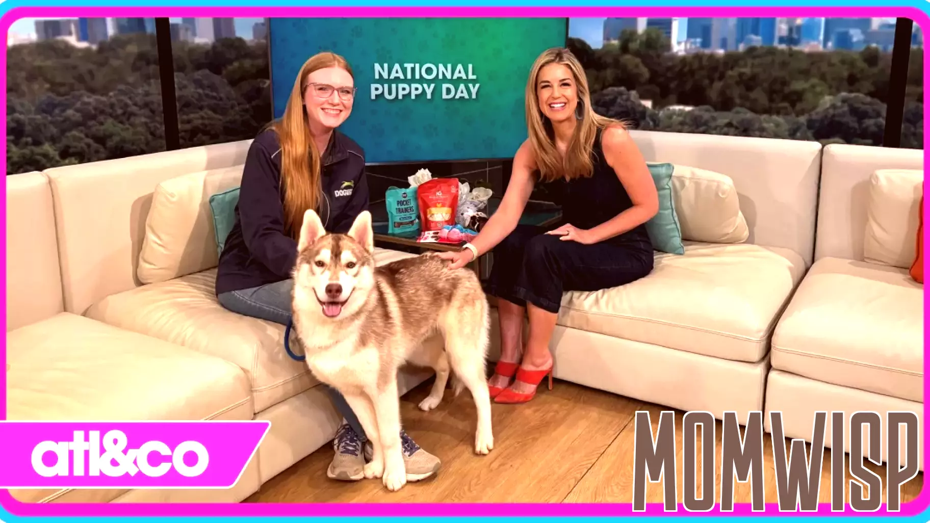 Tips for Puppy Parenting: Learn How to Care for Your Furry Friend