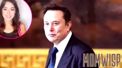 Elon Musk and Ashley St. Clair Pursue Parenting Arrangement for Newborn