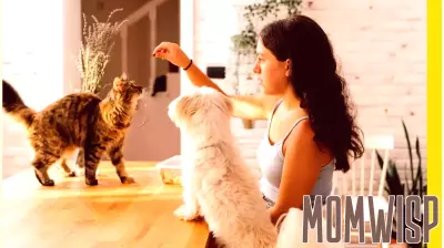 Exploring the Cat vs. Dog Parenting Style