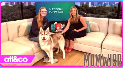 Tips for Puppy Parenting: Learn How to Care for Your Furry Friend